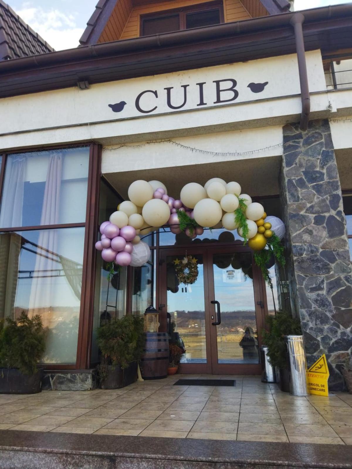 La Cuib Cristian Sibiu Hotel Cameră foto